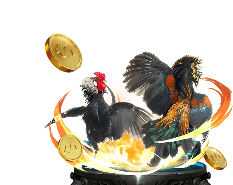 Đá Gà và Xổ Số vivu88